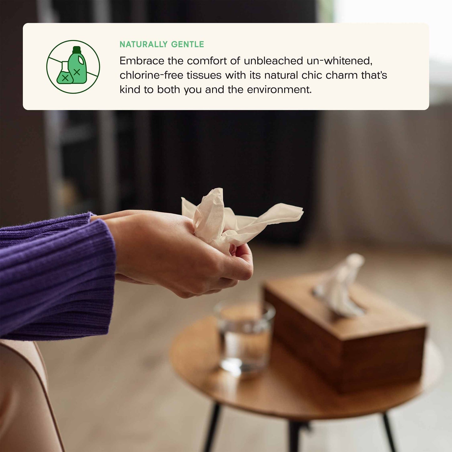 Bamboo Toilet Paper Trial Pack
