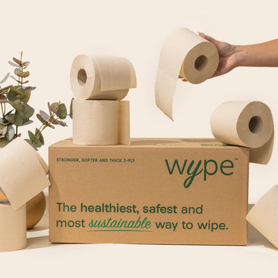 Box of Wype bamboo toilet paper with rolls stacked on and around it, labeled as the healthiest, safest, and most sustainable way to wipe.
